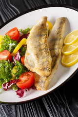 Diet food zander fillet served with fresh salad close-up in a plate. vertical