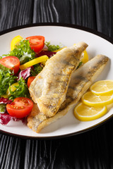 Fried zander fillet served with fresh salad closeup in a plate. vertical