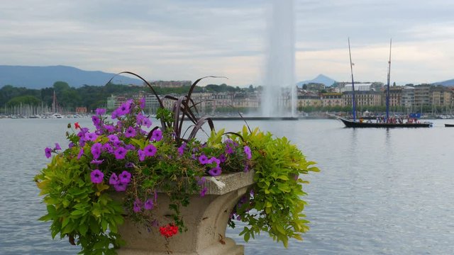 jet d'eau fountain and flowers at geneva lake, switzerland
