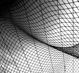 black and white background with grid