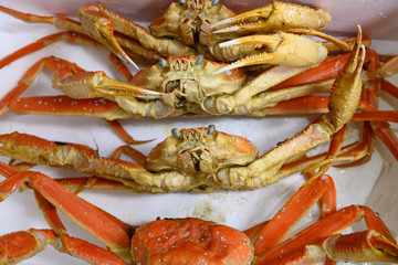 カニ・新鮮・採れたて・ズワイガニ