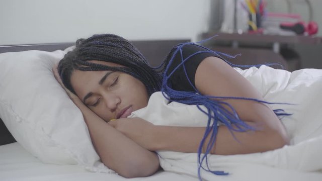 Portrait of calm African American woman with dreadlocks sleeping. Young cute girl resting at home. Leisure, weekends, lifestyle.