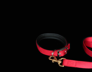 Pet collars with hook on isolated black background.  Pet accessories concept