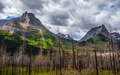 Hiking Trail Views in Glacier National Park