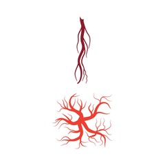 Veins icon Vector Illustration design Logo template