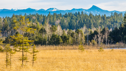 Landschaft im Hintergrund Berge