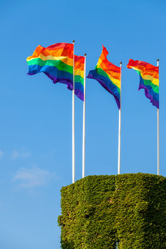 Rainbow flags