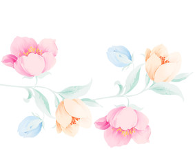 Fototapeta na wymiar Elegant beautiful watercolor rose flower