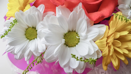 Bouquet of chrysanthemums and roses on a white background.