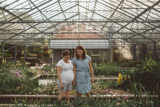 Lesbian couple expecting baby looking at plants in greenhouse