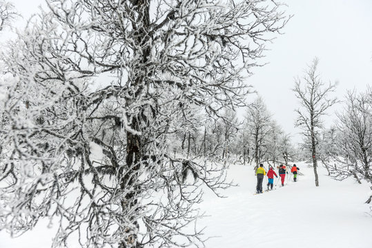 People skiing