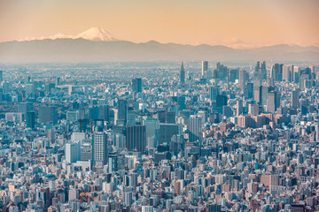 Tokyo skyline and Fuji mountain from aerial view. Modern megapolis. Tokyo Sky Tree. Cityscape from above