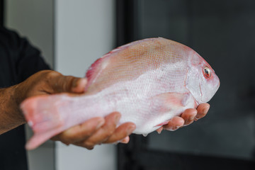 Fresh red snappers at the fish market