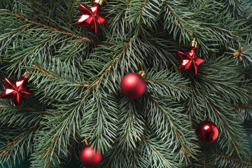 Obraz na płótnie Canvas Christmas evegreen branches and red balls. Xmas. Happy New Year. Flat lay style.