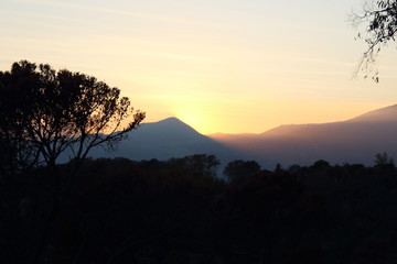 evocative image of sunset with silhouette of mountains in the background  and tree in the foreground