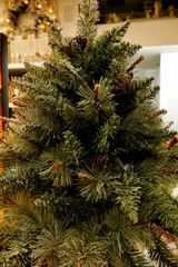 Special Christmas decorations for the home