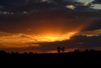 Sunset in the plain near Zrenjanin