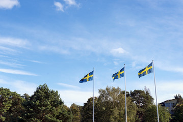 Three Swedish flags