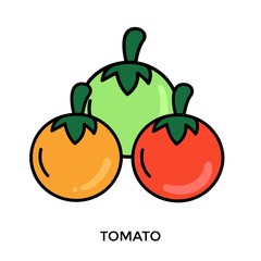 Set of vegetables vector illustration collection. Vegetables vector illustration  mushroom, onion, chili, eggplant, broccoli, kangkung, cucumber, carot,  corn, chinese cabbage