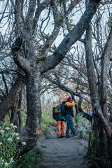 Bromo, Indonesia-  August 3th, 2019 : Unidentified hikers tracking to Mount Pananjakan summit during beautiful morning at Bromo in Surabaya. (blurry soft focus noise visible due to high ISO)
