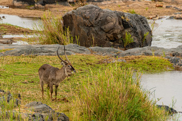 South Africa