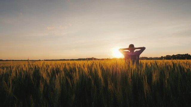 Wide shot of A successful farmer looks at his wheat field at sunset