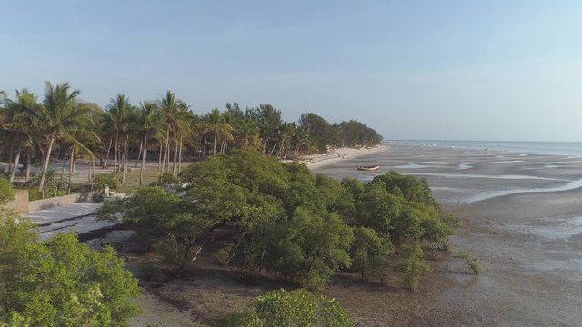Aerial tracking shot of mangroves on a tropical African beach at low tide