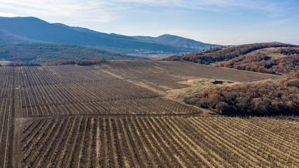 Fototapeta na wymiar Autumn, mountains, vineyards