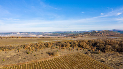 Autumn, mountains, vineyards