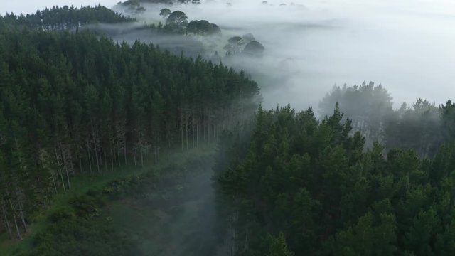 Aerial Helicopter Flying Forest Clouds Fog Mountains Hills Sunrise Morning 4k Wide Fly MistOver Epic Flight Beautiful Cold Winter
