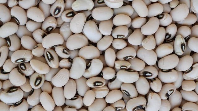 White Kidney Bean contains Phaseolamin, a protein that can inhibit the activity of alpha amylase, which people who want to lose weight want to consume.
