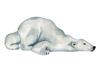 Watercolor cute white polar bears in the north