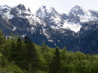 Fototapeta premium view of alps