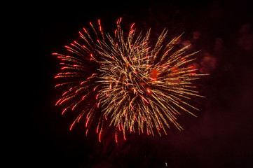 Fototapeta premium Festive fireworks against the night sky.