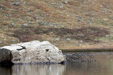 Ukrainian Carpathians. Mountain Lake. Nature. Autumn. Ukrainian mountains