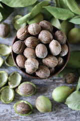 Walnuts. Walnut leaves Harvest walnuts.
