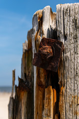 Wangerooge Strand Wattenmeer Nationalpark Holz Konstruktion Lost Place Hafenanlage Reste verrottet Strand Meer Rost Eisen Befestigung verwittert Salz Eisen