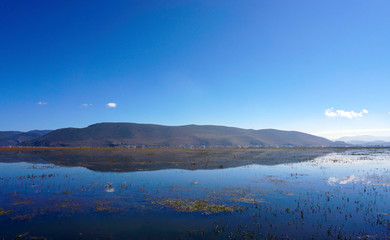   Yila Grassland of Napa Lake (Na Pa Hai), Yunnan, China.