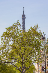 Fototapeta premium PARIS LA TOUR EIFFEL