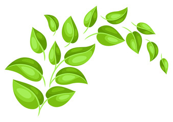 Background with spring leaves.