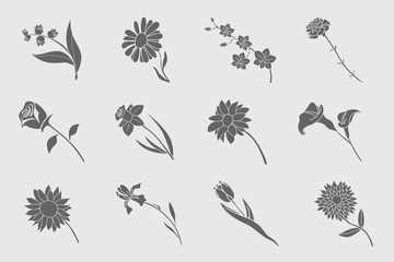 Flower Icons set - Vector solid silhouettes of rose, tulip, chamomile, carnation, iris, callai, orchid, narcissus, sunflower, chrysanthemum and astra for the site or interface
