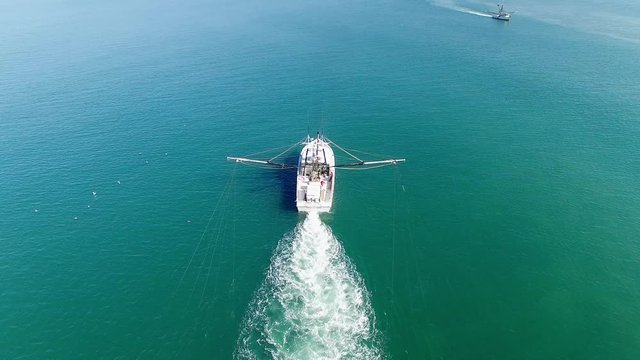 A White Trawling Shrimp Boat with Feeding Seagulls All Around, Aerial Steady Establishing Shot