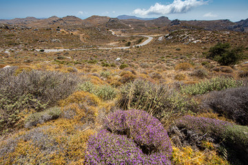 Creta Orientale