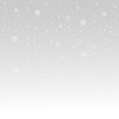 Winter white background with snowflake