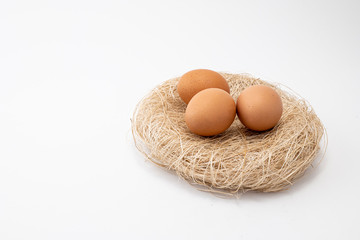 Egg on Nest With White Blackgound