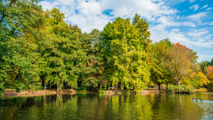 Autumn landscape beautiful colored trees