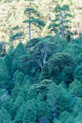  Borosa river route in the Sierra de Cazorla, Segura and Las Villas natural park