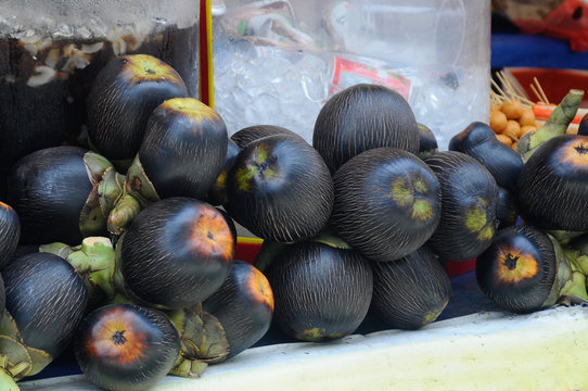 Sea coconut or Lodoicea Maldivica. 