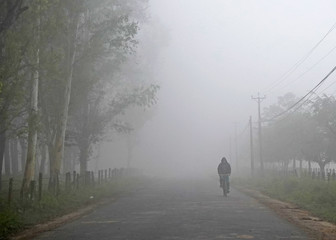 Cyclist in a fog, Sauraha, Nepal 