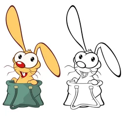 Gardinen Vektor-Illustration eines niedlichen Cartoon-Charakter-Kaninchens für Sie Design und Computerspiel. Malbuch-Umriss-Set © liusa